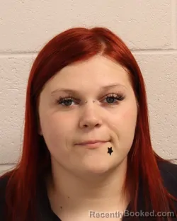 Mugshot of MADISON TAYLOR CLIMER booked in Madison County, Tennessee on April 9, 2026