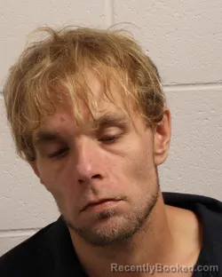 Mugshot of DUSTIN L MCCLENDON