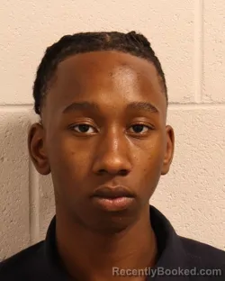 Booking photo from Madison County, Tennessee