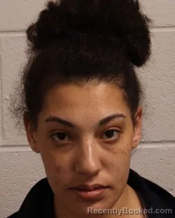 Mugshot of DANYA RENEE WATSON