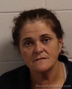 Mugshot of TONYA LYNN NUNEZ booked in Madison County, Tennessee on May 4, 2026