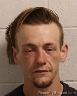 Mugshot of STEVEN HAROLD DIMMETT