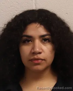 Mugshot of ADRIANA CALETRE