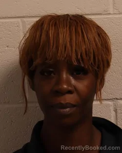 Mugshot of BEAUNCA ANJENNETT PERRY