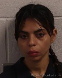 Mugshot of IVETTE TELLEZ