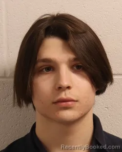 Mugshot of SHAWN MANN