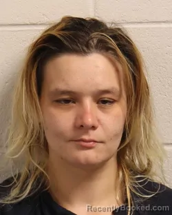 Mugshot of CHERADON ADKINS booked in Madison County, Tennessee on April 4, 2026