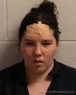 Mugshot of Sarah Nichole Roberts booked in Madison County, Tennessee on September 4, 2026