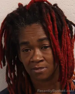 Mugshot of AMANDA MARIE COOK