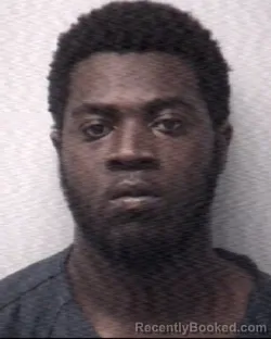 Booking photo from Madison County, Tennessee