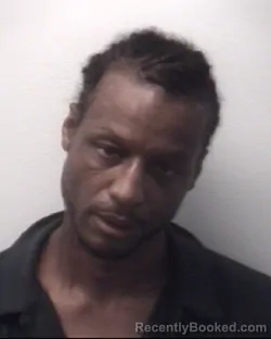 Booking photo from Madison County, Tennessee