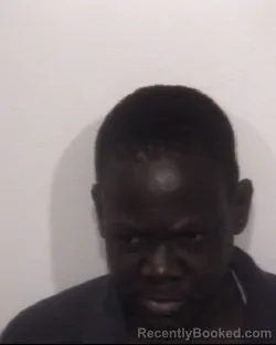 Mugshot of TOCIA YVETTE COBB