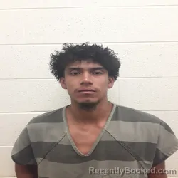 Mugshot of GENARO NAJERA