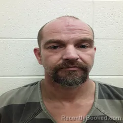 Mugshot of DENNIS WAYNE MANIS