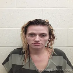 Mugshot of LINDSEY NEWLIN