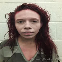 Mugshot of MELISSA DAWN MORGAN