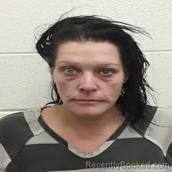 Mugshot of SHANNON MARIE HOLDER