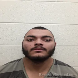 Mugshot of SHAWN DOUGLAS PERKINS