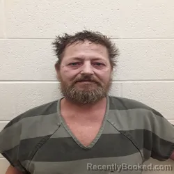 Mugshot of WADE LYNN LONG