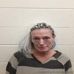 Mugshot of CHERYL LYNN DILLS