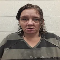 Mugshot of MEGAN KAYE KEATON