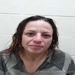 Mugshot of JAMIE AUSTEEN SHELTON