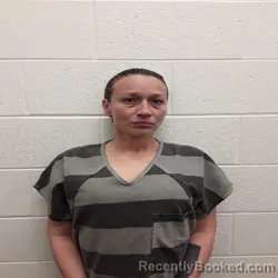 Mugshot of CRYSTAL KAY BRAZZELL