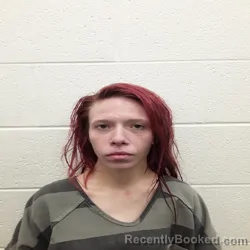 Mugshot of MELISSA DAWN MORGAN