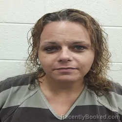Mugshot of MINDY JEAN MCCULLOCH booked in Monroe County, Tennessee on April 5, 2026