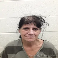 Mugshot of TAMMY LYNN CAIN booked in Monroe County, Tennessee on April 20, 2026