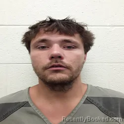 Mugshot of CAYON DUSTIN LEE ANDERSON booked in Monroe County, Tennessee on April 21, 2026
