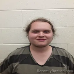 Mugshot of NICHOLAS HAMPTON GOODGAME booked in Monroe County, Tennessee on April 22, 2026