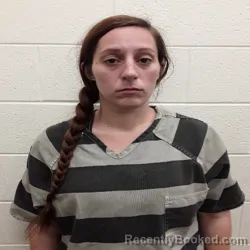 Mugshot of ELIZABETH ROSE WELCH booked in Monroe County, Tennessee on April 23, 2026