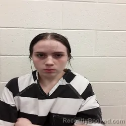 Mugshot of LILLIAN MAE WEDDINGTON booked in Monroe County, Tennessee on April 28, 2026