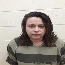 Mugshot of CHRISTINA MARIE PEARCE booked in Monroe County, Tennessee on May 4, 2026