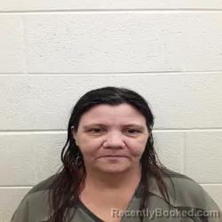 Mugshot of CRYSTAL DAWN PRESLEY booked in Monroe County, Tennessee on May 5, 2026