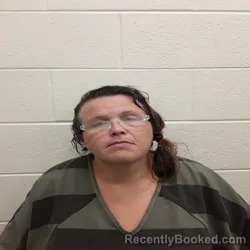 Mugshot of MARTHA RENEE MCNABB booked in Monroe County, Tennessee on May 6, 2026