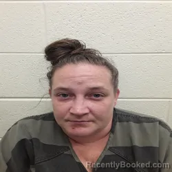 Mugshot of JESSICA LEANN KELLER booked in Monroe County, Tennessee on May 9, 2026