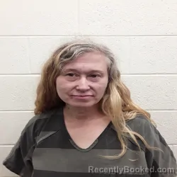 Mugshot of KIRSTEN HODGES booked in Monroe County, Tennessee on May 11, 2026
