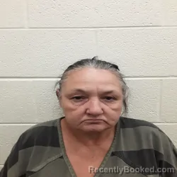 Mugshot of LISA KAY WILLIAMS booked in Monroe County, Tennessee on May 11, 2026