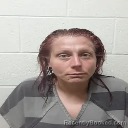 Mugshot of ALICIA DAWN PARTIN booked in Monroe County, Tennessee on May 12, 2026