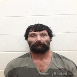 Mugshot of STACY MICHAEL WATKINS booked in Monroe County, Tennessee on May 15, 2026