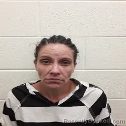 Mugshot of SHAWNA MARIE CANTA booked in Monroe County, Tennessee on May 28, 2026