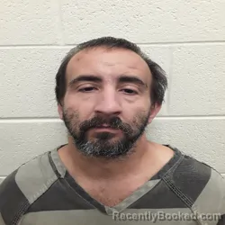 Mugshot of RICKY ALVIN PALMER booked in Monroe County, Tennessee on June 3, 2026