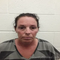Mugshot of ELIN ALICIA MOSER booked in Monroe County, Tennessee on June 4, 2026