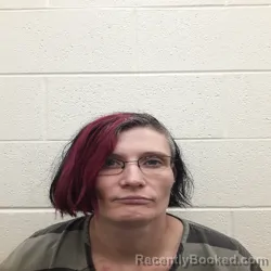 Mugshot of SAMANTHA JEAN BUTLER booked in Monroe County, Tennessee on June 6, 2026