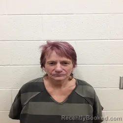 Mugshot of PAMELA DENISE MULLINS booked in Monroe County, Tennessee on June 6, 2026