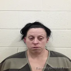 Mugshot of KATIE MARIE BRYAN booked in Monroe County, Tennessee on June 6, 2026