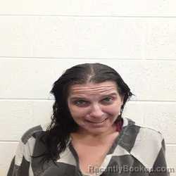 Mugshot of AMANDA NICOLE JOHNSON booked in Monroe County, Tennessee on June 7, 2026