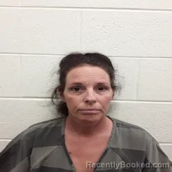 Mugshot of ELIN ALICIA MOSER booked in Monroe County, Tennessee on June 19, 2026